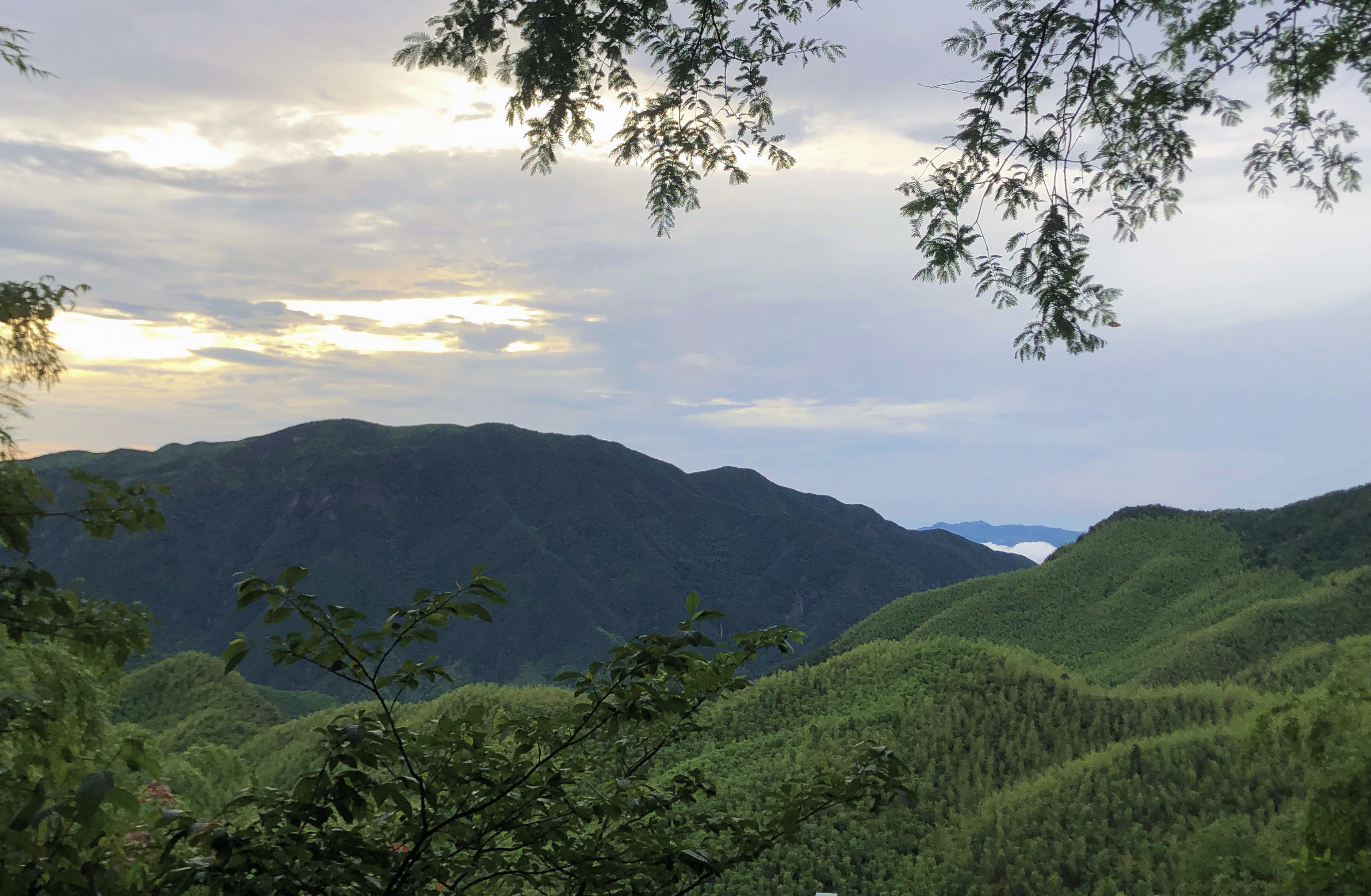 2021年6月家庭日旅游活動-浙江安吉